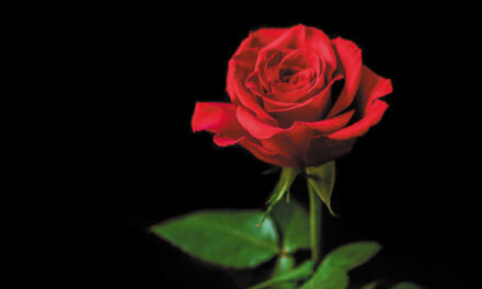 Choking On What’s “In The Air”