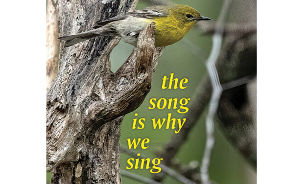 Redhawk Pub. Announces  “The Song Is Why We Sing” By Scott Owens Is Now Released