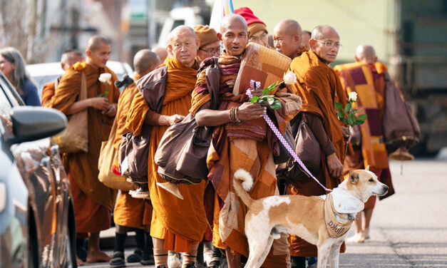 Buddhist Monks And Their Dog Captivate Americans While Walking For Peace
