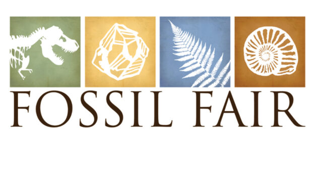Fossil Fair At Schiele Museum On Saturday, February 28