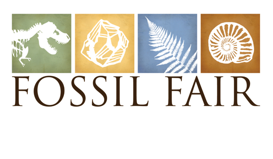 Fossil Fair At Schiele Museum On Saturday, February 28