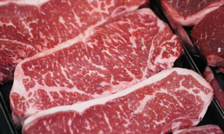 New Diet Guidelines Say To Double Up On Protein, But  Nutrition Experts Are Wary