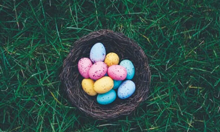 City Of Hickory Presents Glow In The Dark Egg Hunt, 4/4