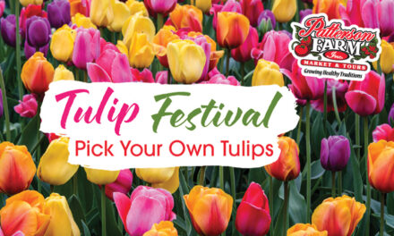 Pick-Your-Own Tulip  Experience For Spring 2026