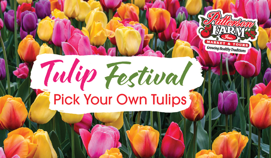 Pick-Your-Own Tulip  Experience For Spring 2026