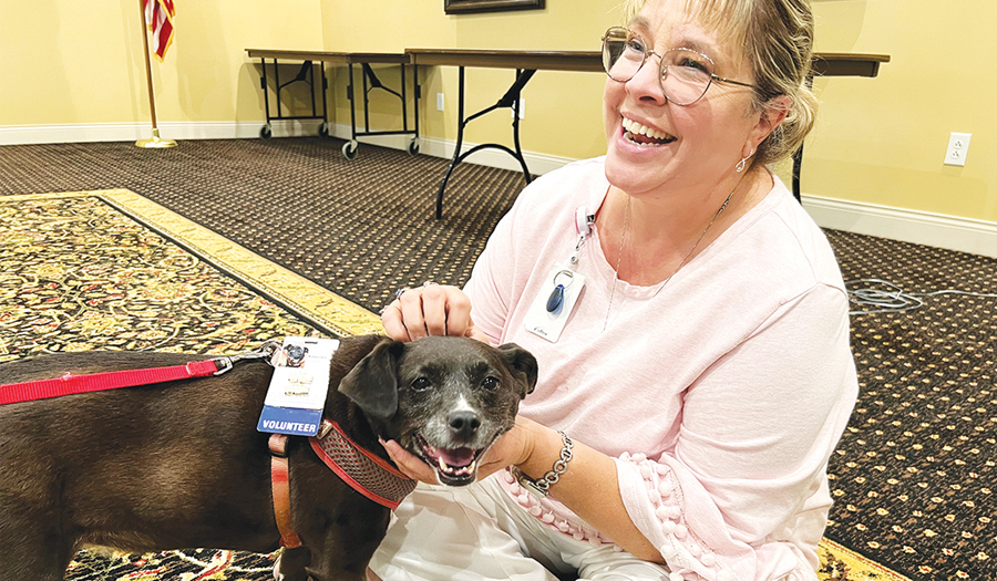 AMOREM Seeks Volunteers With Certified Therapy Dogs