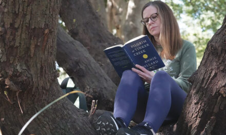 People ‘Bathe’ In Nature To Get Respite From Chaotic News