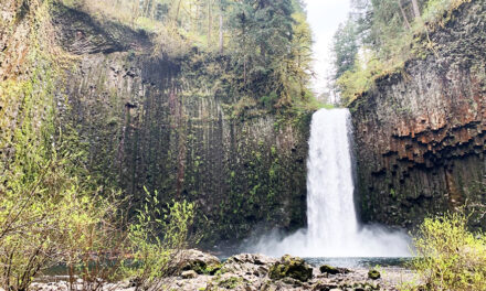 Oregon Waterfall Was Put Up For Sale On Redfin