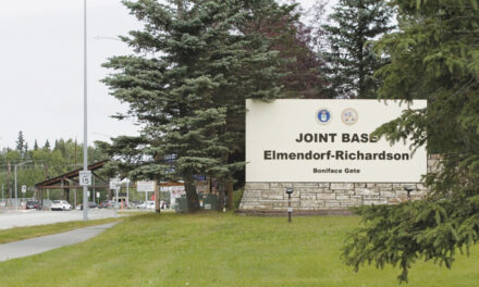 Soldiers Injured In Encounter With Brown Bear During  Training Exercise