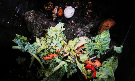 Still Unsure About Composting? Here’s Why And How To Make ‘Black Gold’ For The Garden