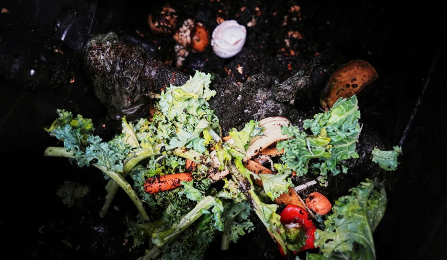 Still Unsure About Composting? Here’s Why And How To Make ‘Black Gold’ For The Garden