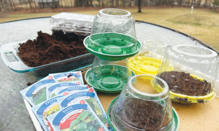 How To Save Money On Garden Gear With Some Creative Recycling