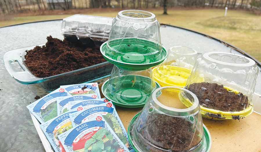 How To Save Money On Garden Gear With Some Creative Recycling