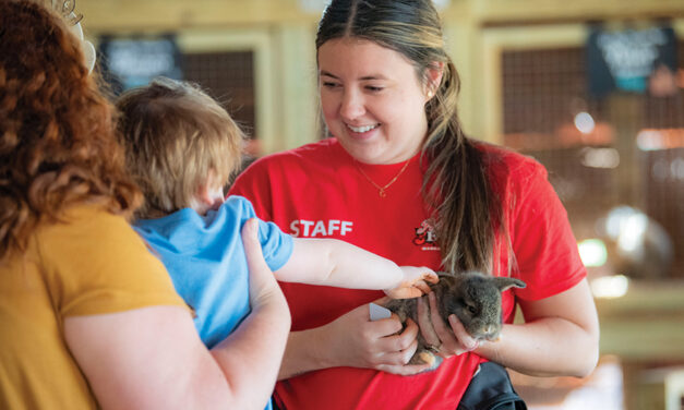 Celebrate Spring With Baby Animals At Patterson Farm