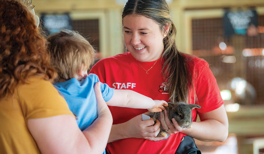 Celebrate Spring With Baby Animals At Patterson Farm