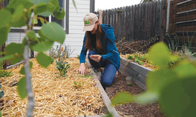 How To Grow Your Own Food With Less Water, Even In A Drought