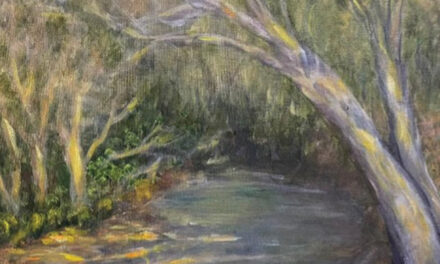 Brush & Palette Club Exhibit Opening Friday, June 12