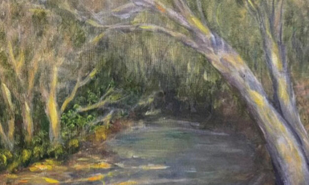 Brush & Palette Club Exhibit Opening Friday, June 12
