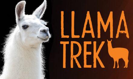 Llama Trek At The Schiele  Museum, Saturday, June 27