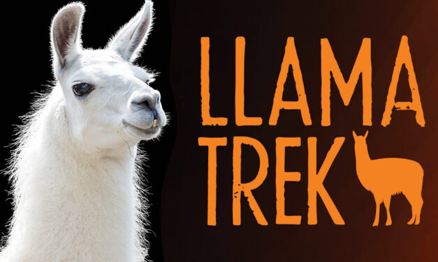 Llama Trek At The Schiele  Museum, Saturday, June 27