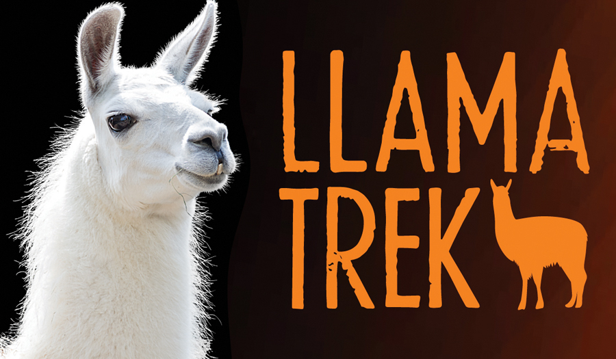 Llama Trek At The Schiele  Museum, Saturday, June 27