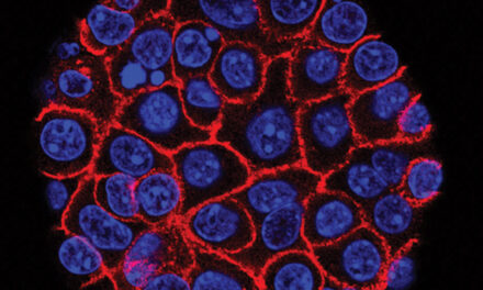 Experimental Pill Promises  New Hope For Deadly  Pancreatic Cancer