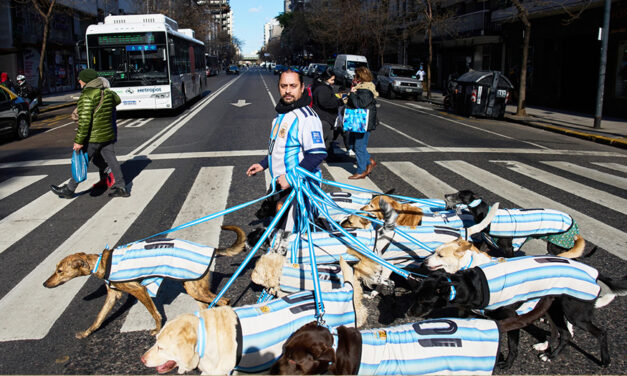 Dog Walker Turns His Pack Of 13 Into Argentina Jersey-Clad World Cup Followers