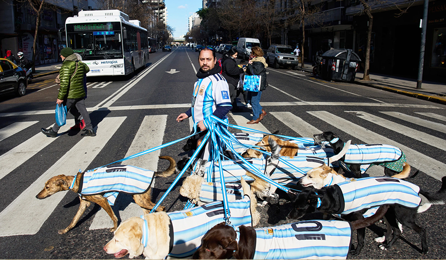 Dog Walker Turns His Pack Of 13 Into Argentina Jersey-Clad World Cup Followers
