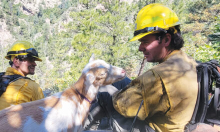 Hooved Friend Provides Moral Support To Firefighters