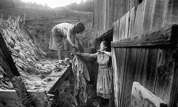 Rob Amberg Exhibit At Happy Valley Filling Station In Lenoir