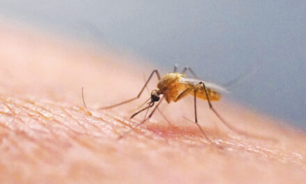 Scratching That Bug Bite Might Feel Good At First But Science Explains Why It’s A Bad Idea