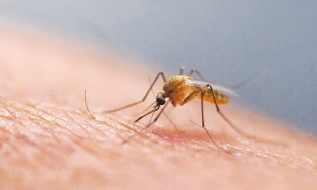 Scratching That Bug Bite Might Feel Good At First But Science Explains Why It’s A Bad Idea