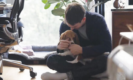 Gene-Edited Beagles May Offer A Future  Option For People With Dog Allergies