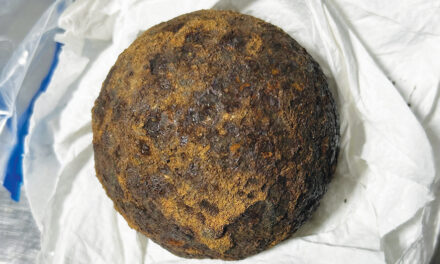 TSA Finds Stolen Civil War-Era Cannonballs In A Passenger’s Suitcase At Airport
