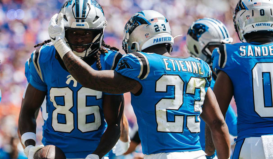 My Concerns With The Panthers