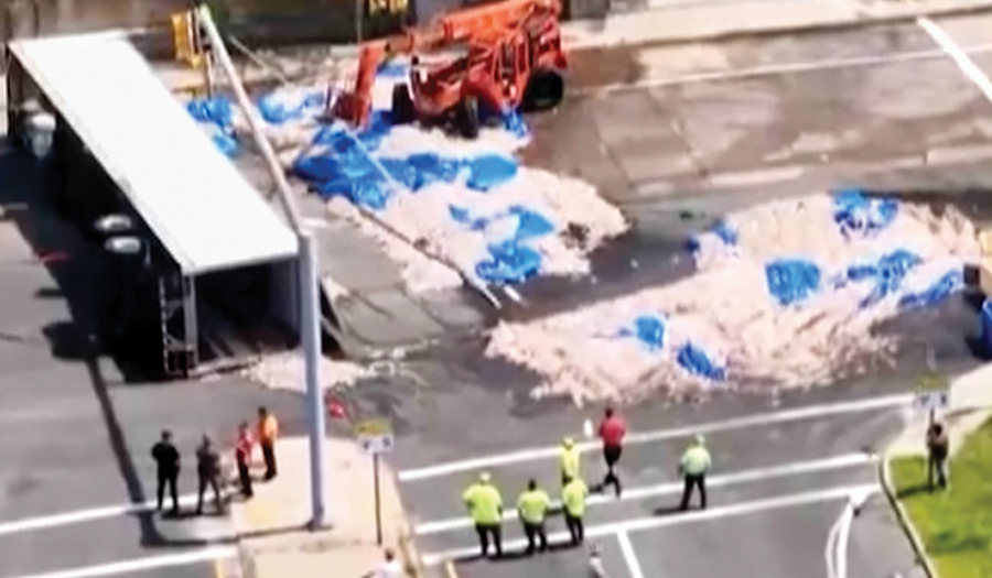 Truckload Of Squid Spills Into The Street, Creating A Smelly Mess In The Summer Heat