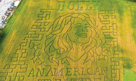 Dolly Parton Corn Mazes Crop Up In Fields Nationwide