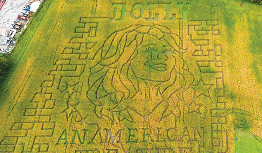 Dolly Parton Corn Mazes Crop Up In Fields Nationwide