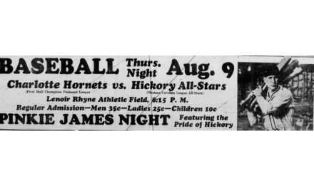 The Many Charlotte Hornets