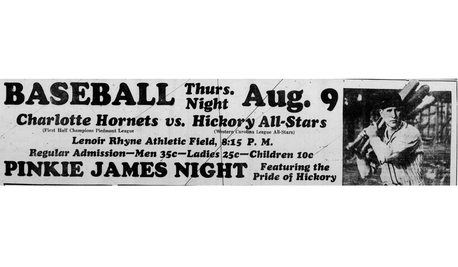 The Many Charlotte Hornets