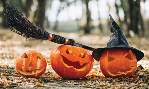 Family Halloween Events In The Surrounding Areas