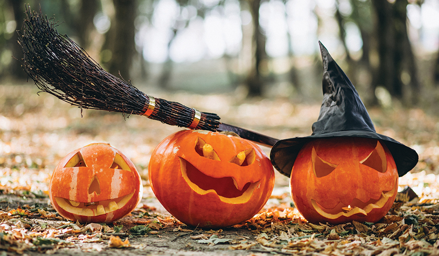 Family Halloween Events In The Surrounding Areas