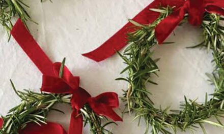 Seniors Morning Out Activities To Include DIY Mini Wreaths