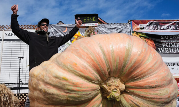 3,156-Pound Pumpkin Grown In Rhode Island Is Inspected For Possible World Record