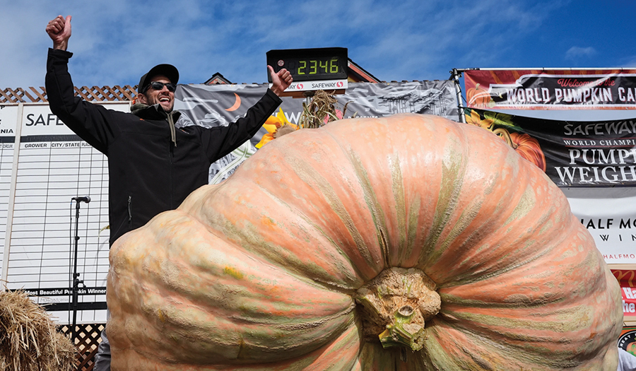 3,156-Pound Pumpkin Grown In Rhode Island Is Inspected For Possible World Record